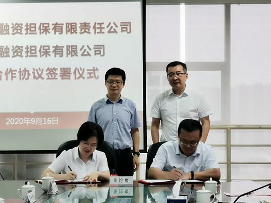 “担担合作、强强联合” ——公司与徐州担保签署战略合作协议(图2)